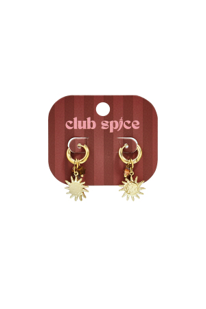 Stainless Steel Beads Earrings Sun Casual Daily Romantic Series Women's Jewelry h5 Picture2