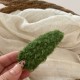 Green Picture5