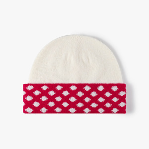 Simple Series Daily Polka Dots Mixed Color Wool Women's Beanie h5