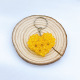 Yellow Picture6