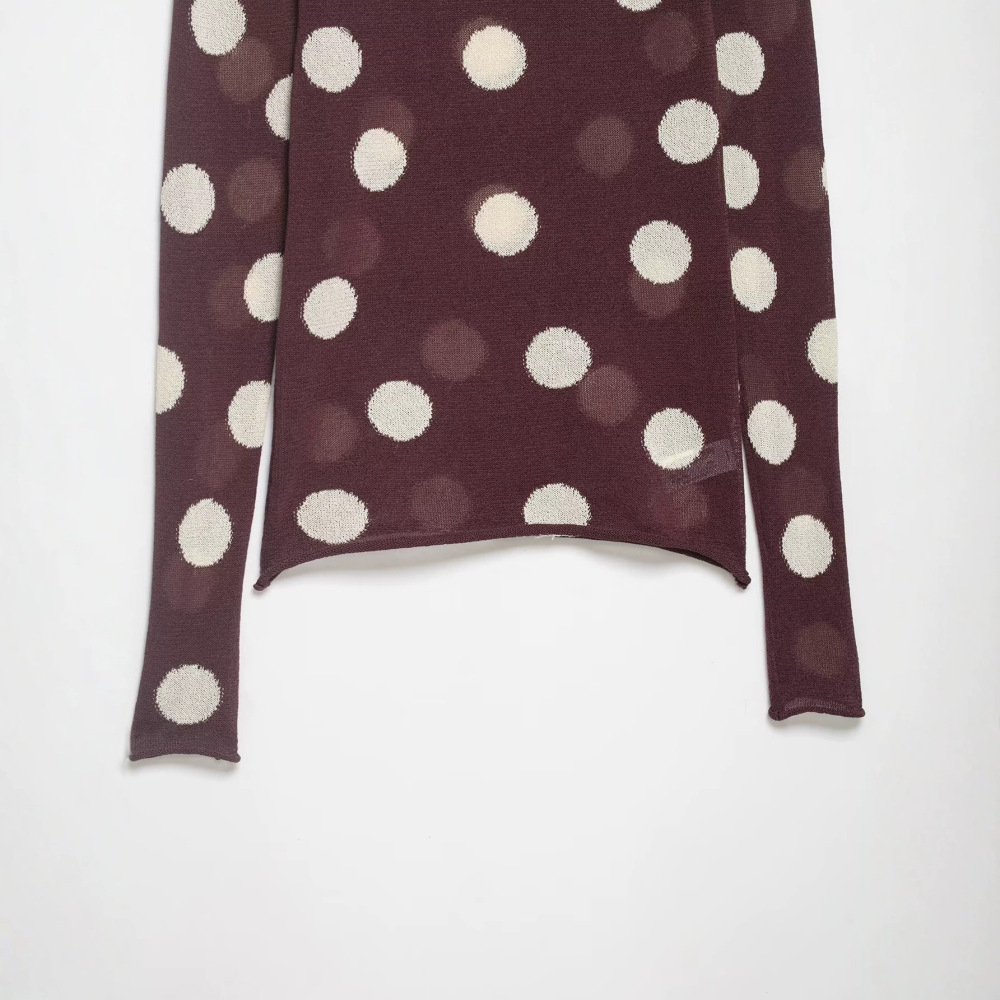 Retro Elegant Polka Dots Sheer Slim Fit Knitted Jumper h5Picture3