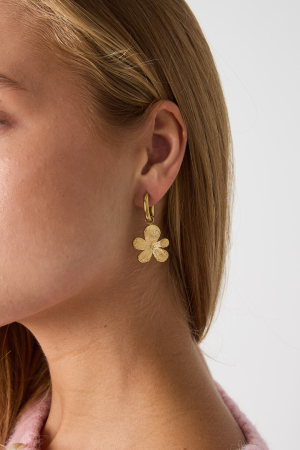 Stainless Steel Drop Earrings Flower Simple Daily Simple Series Women's Jewelry h5 Picture2