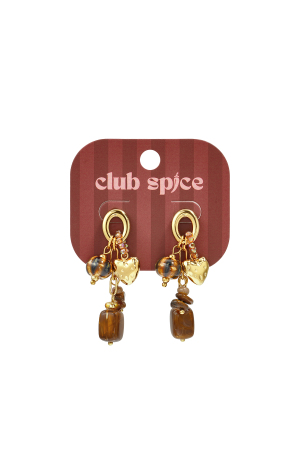 Stainless Steel Dangle Earrings Heart Casual Daily Romantic Series Women's Jewelry h5 Picture2