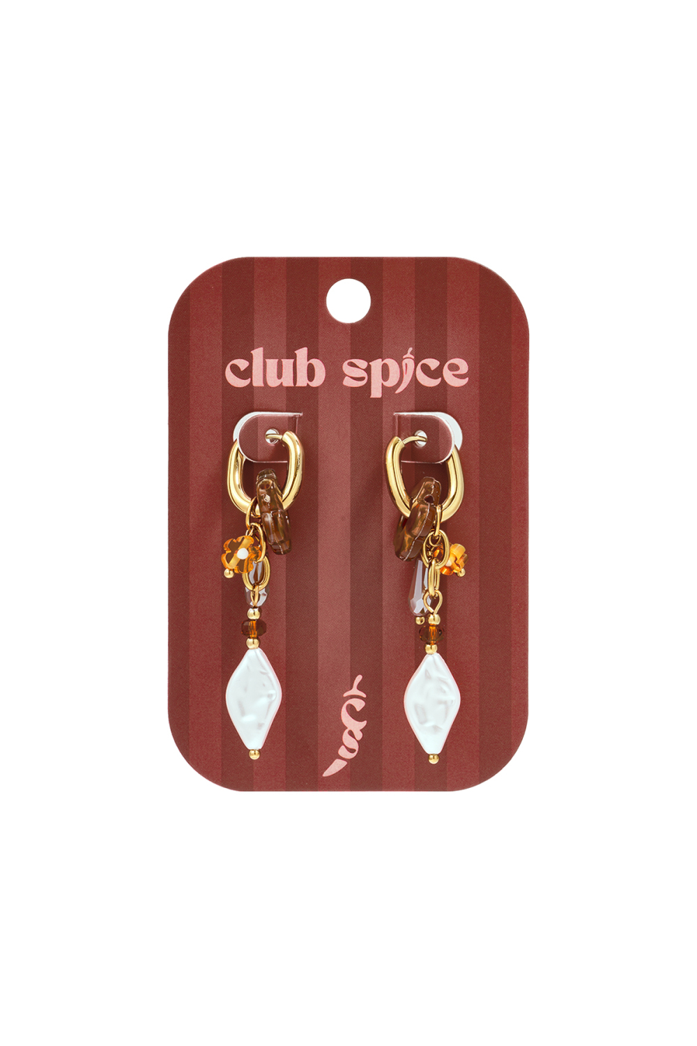 Stainless Steel Dangle Earrings Flower Casual Daily Romantic Series Women's Jewelry h5Picture2