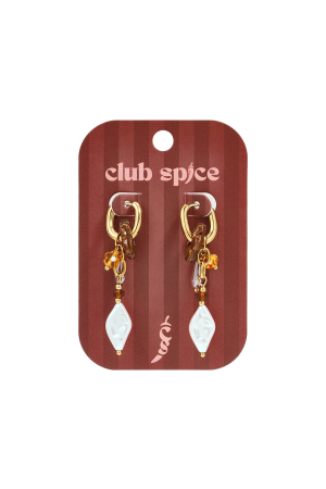Stainless Steel Dangle Earrings Flower Casual Daily Romantic Series Women's Jewelry h5 Picture2