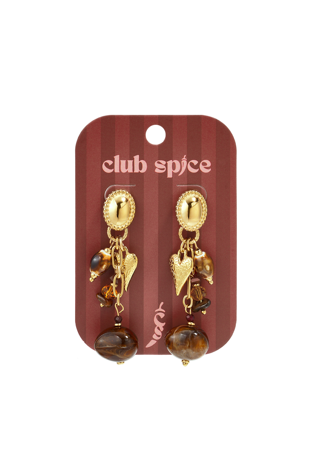 Stainless Steel Dangle Earrings Heart Casual Daily Romantic Series Women's Jewelry h5Picture2