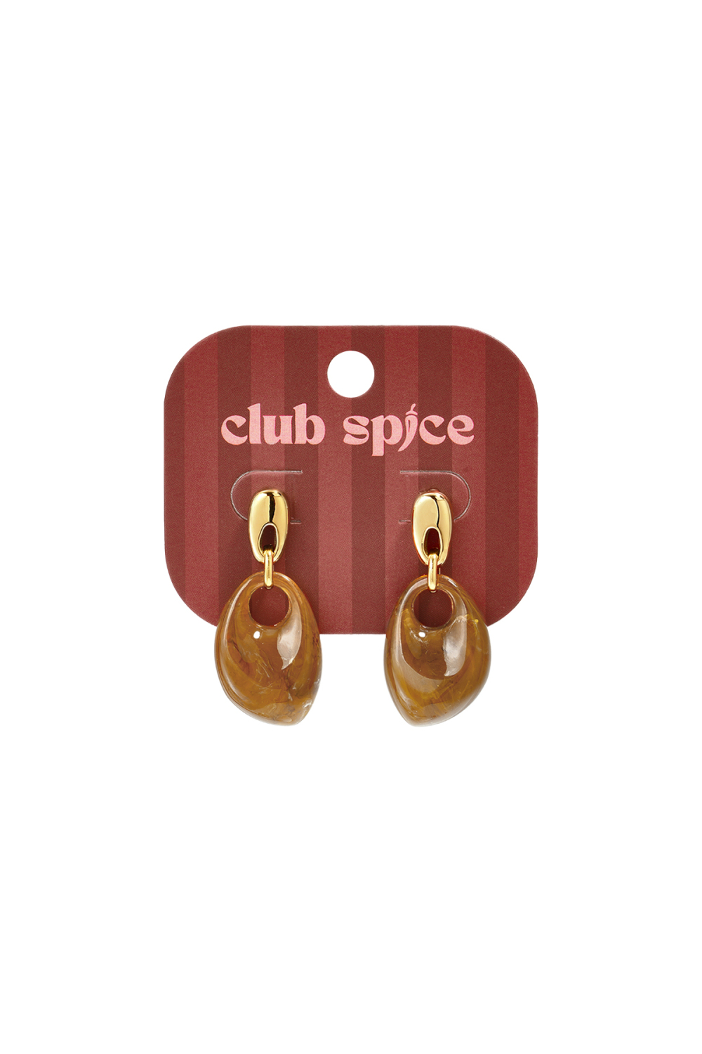 Resin Drop Earrings Irregular Shape Simple Daily Women's Jewelry h5Picture3