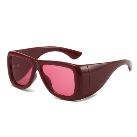 Gafas De Sol Sencillas De Color Liso Con Estampado De Leopardo. 2