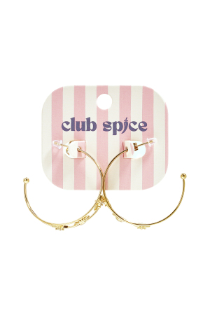Stainless Steel Hoop Earrings Sun Casual Daily Romantic Series Women's Jewelry h5 Picture3