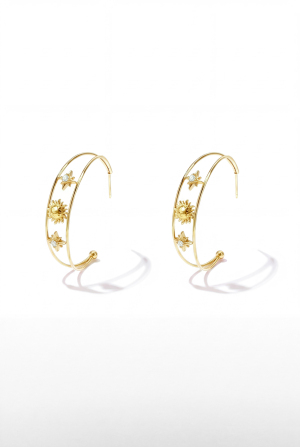 Stainless Steel Hoop Earrings Sun Casual Daily Romantic Series Women's Jewelry h5