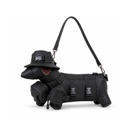Streetwear Stijl Patchwork Effen Kleur Patchwork Teckel Pu Dames Crossbodytas Oost-West