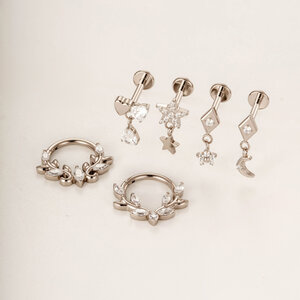 1 Piece Simple Leaf Titanium Zircon Women's Piercing Earrings h5 Picture3