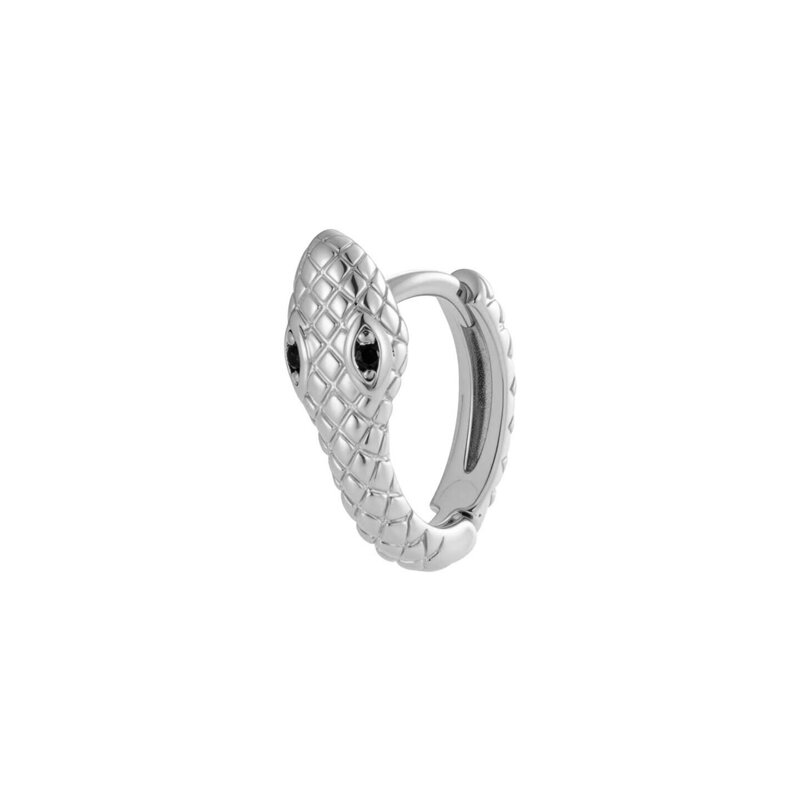 Silver Color Picture2