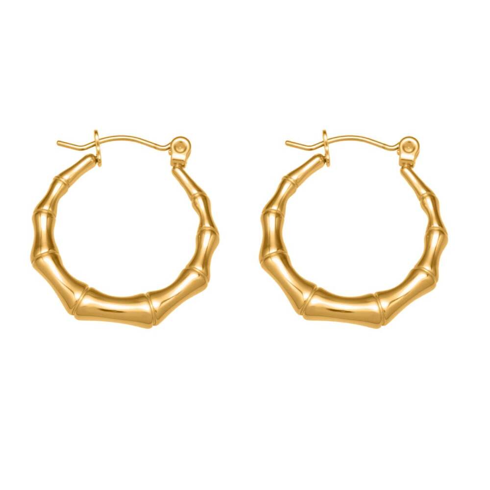 1 Pair Daily Patchwork Stainless Steel Waterproof Gold Color Women's Hoop Earrings