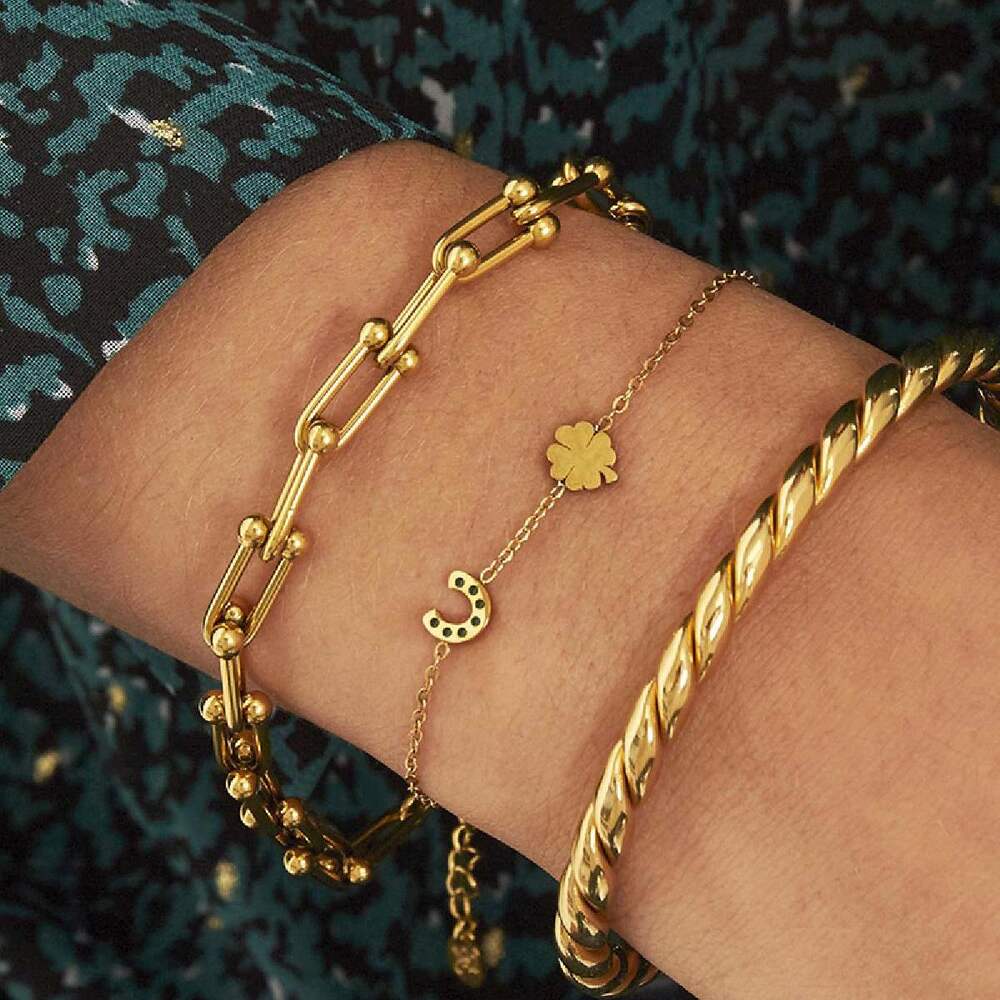 Pulsera con herradura y suerte h5Imagen2