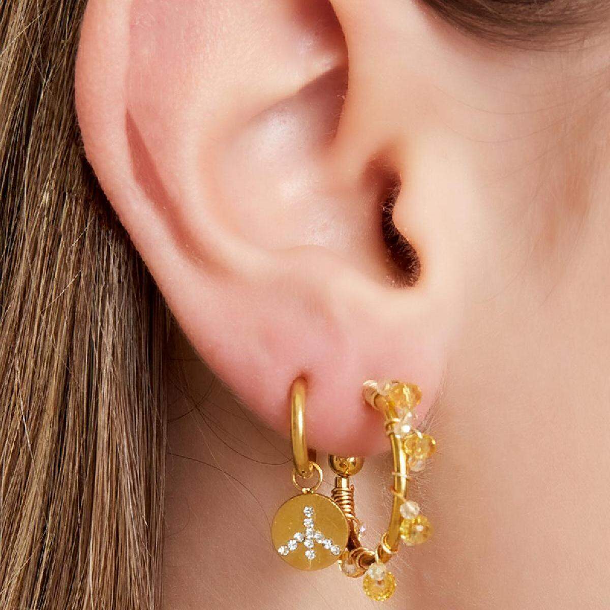 Pendientes de acero inoxidable Imagen2