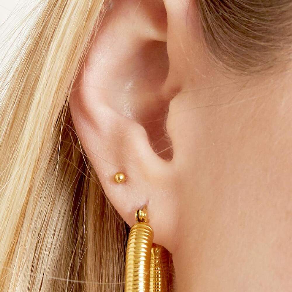 Pendientes Pequeño Punto h5Imagen2
