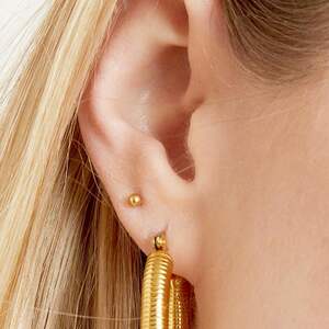 Pendientes Pequeño Punto h5 Imagen2