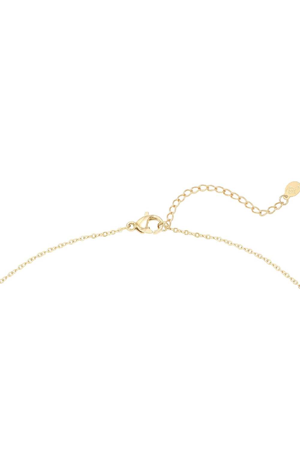 Necklace Confetti Small Gold Color Copper h5Picture2