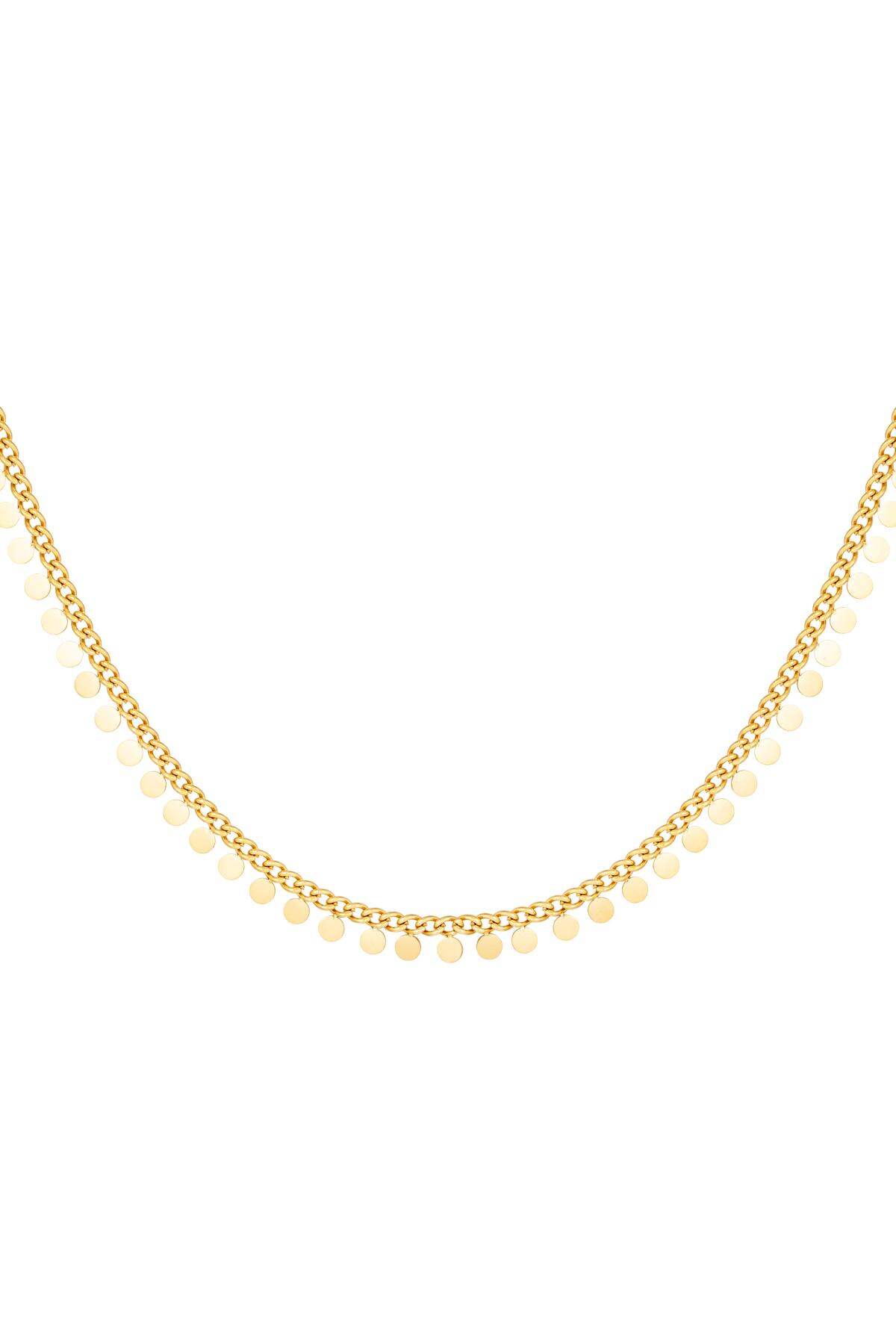 Roestvrijstalen ketting cirkels Goud kleur Stainless Steel