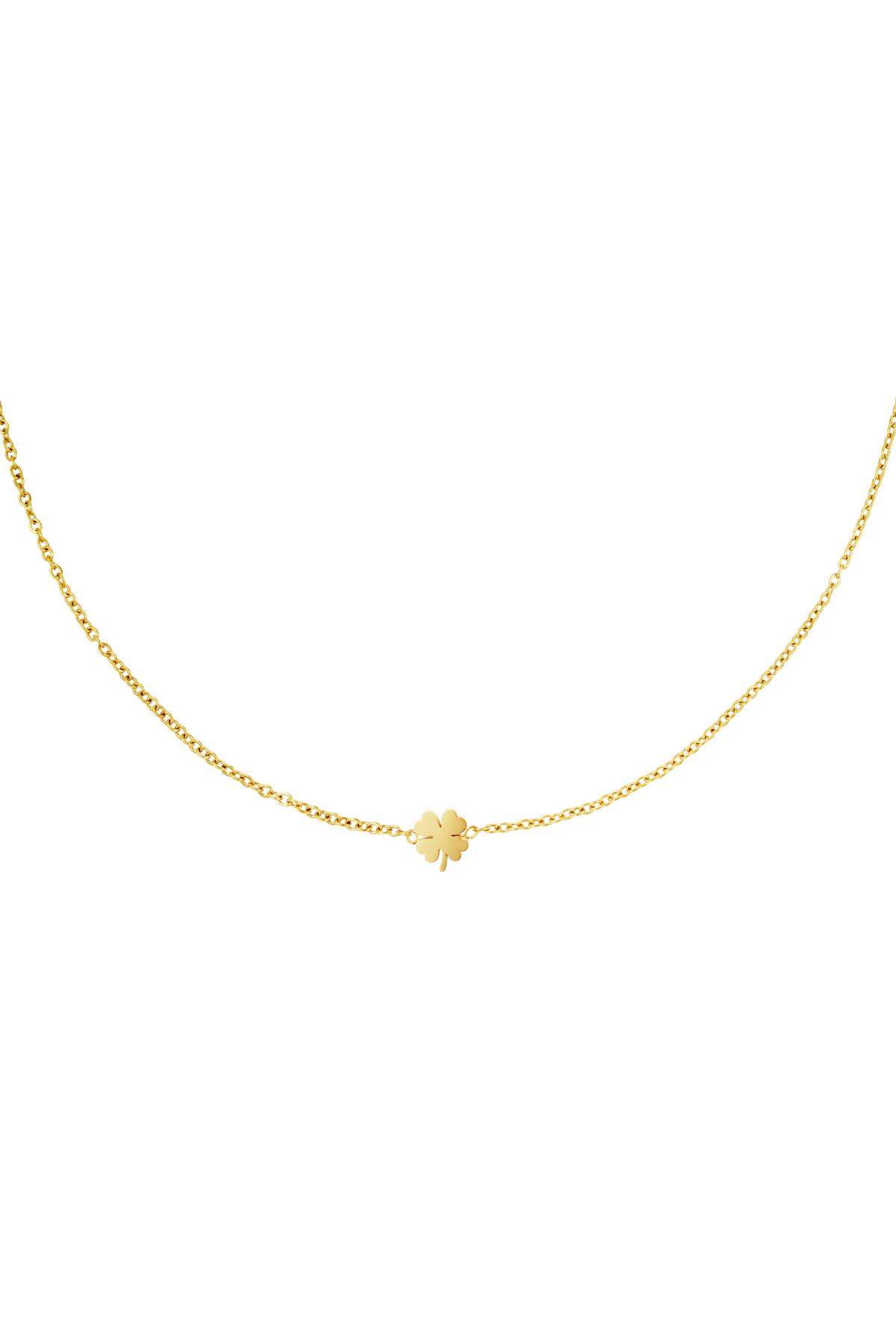 RVS ketting klavertje Goud kleur Stainless Steel h5 