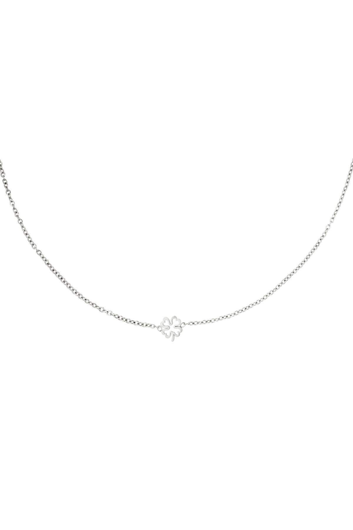 couleur argent Image2
