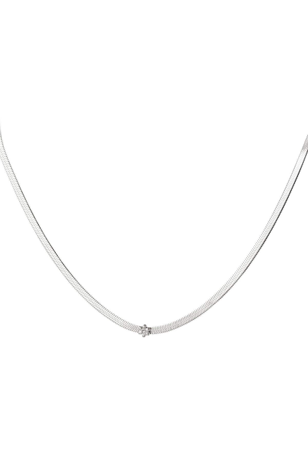Silver Color Picture2