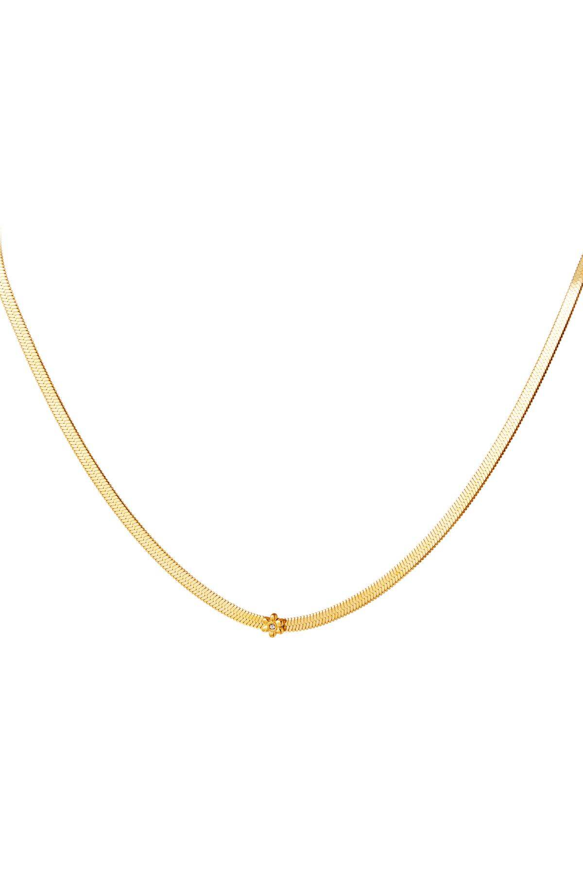 Gold Color 