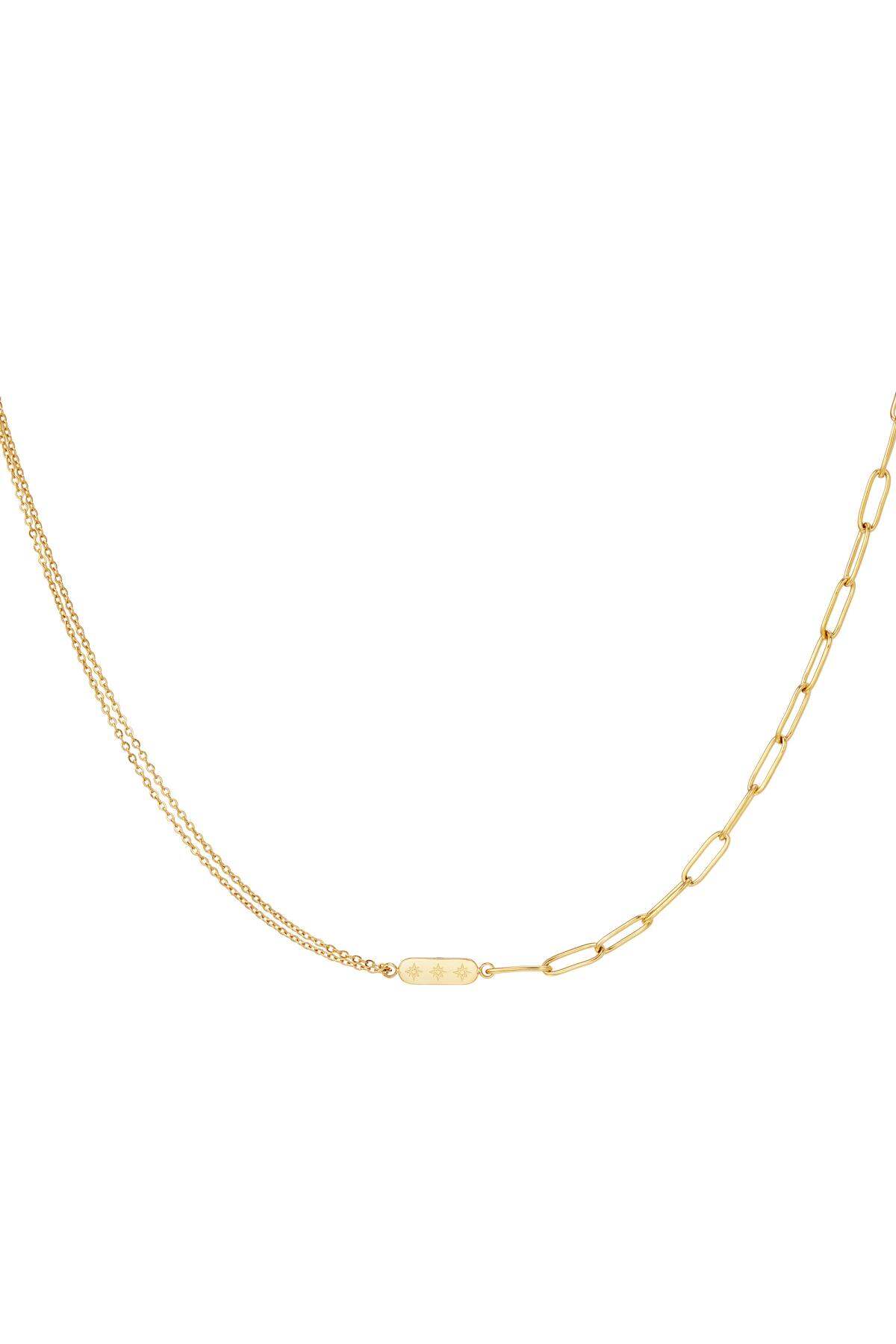 Roestvrijstalen ketting met dubbele ketting en bedel Goud kleur Stainless Steel h5
