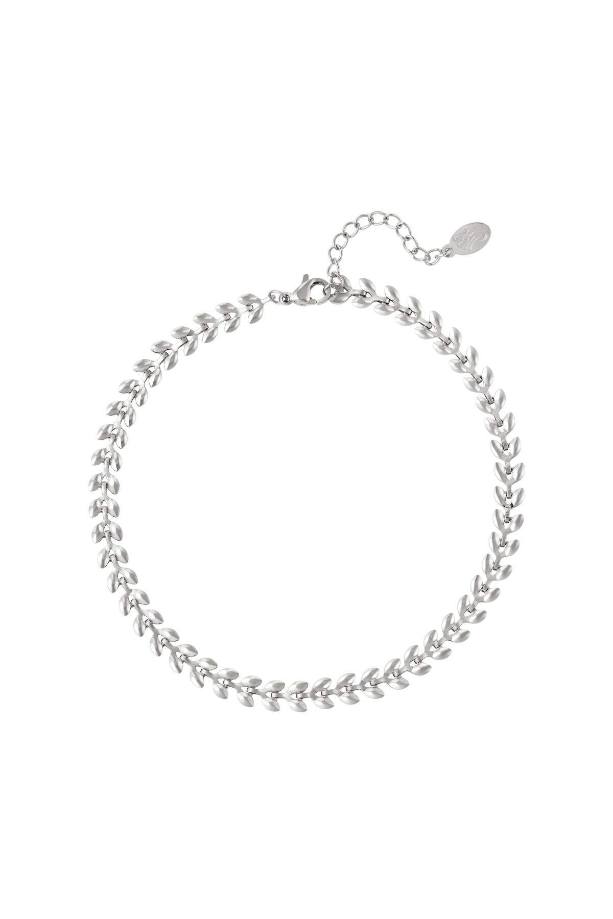 Silver Color Picture2