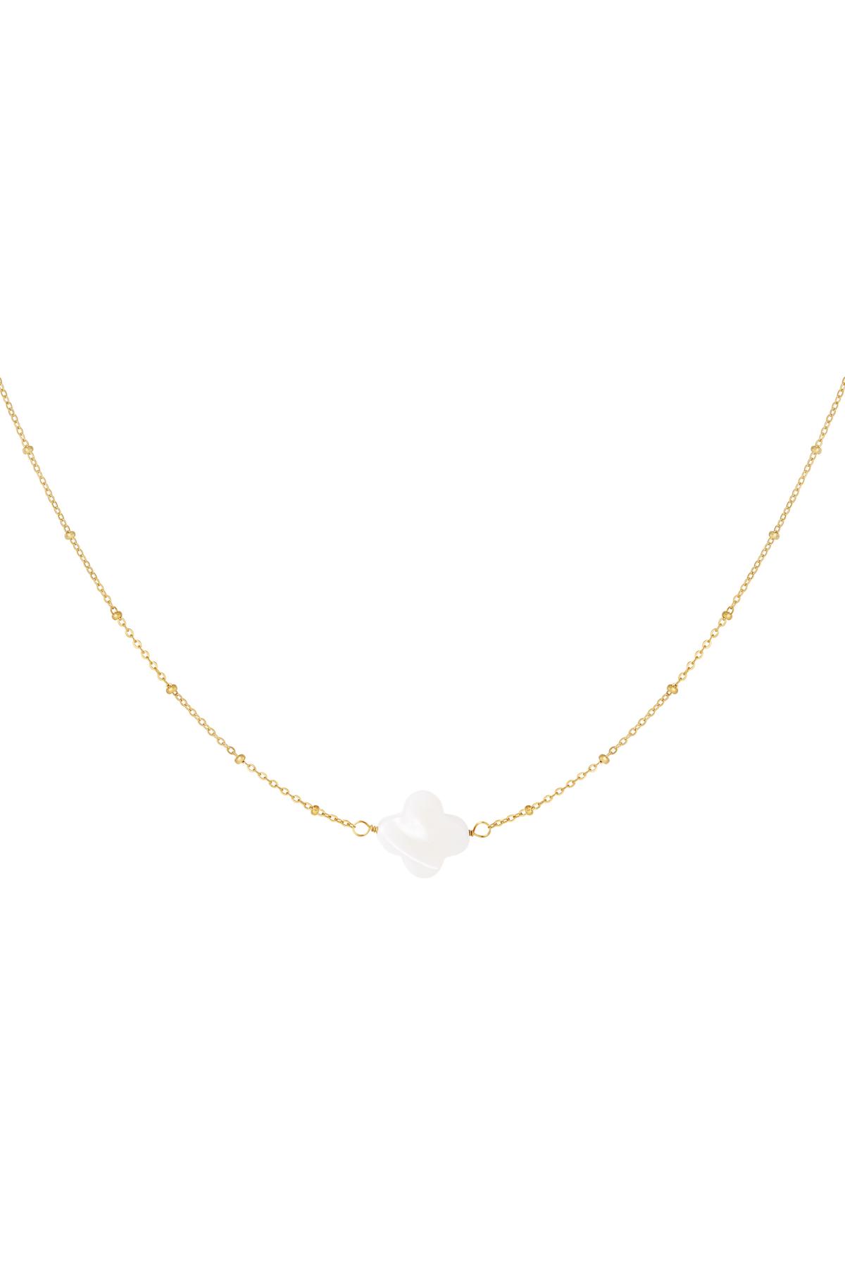 Groothandel Zeeshell Klavertje Ketting RVS Goudkleurig Set van 1
