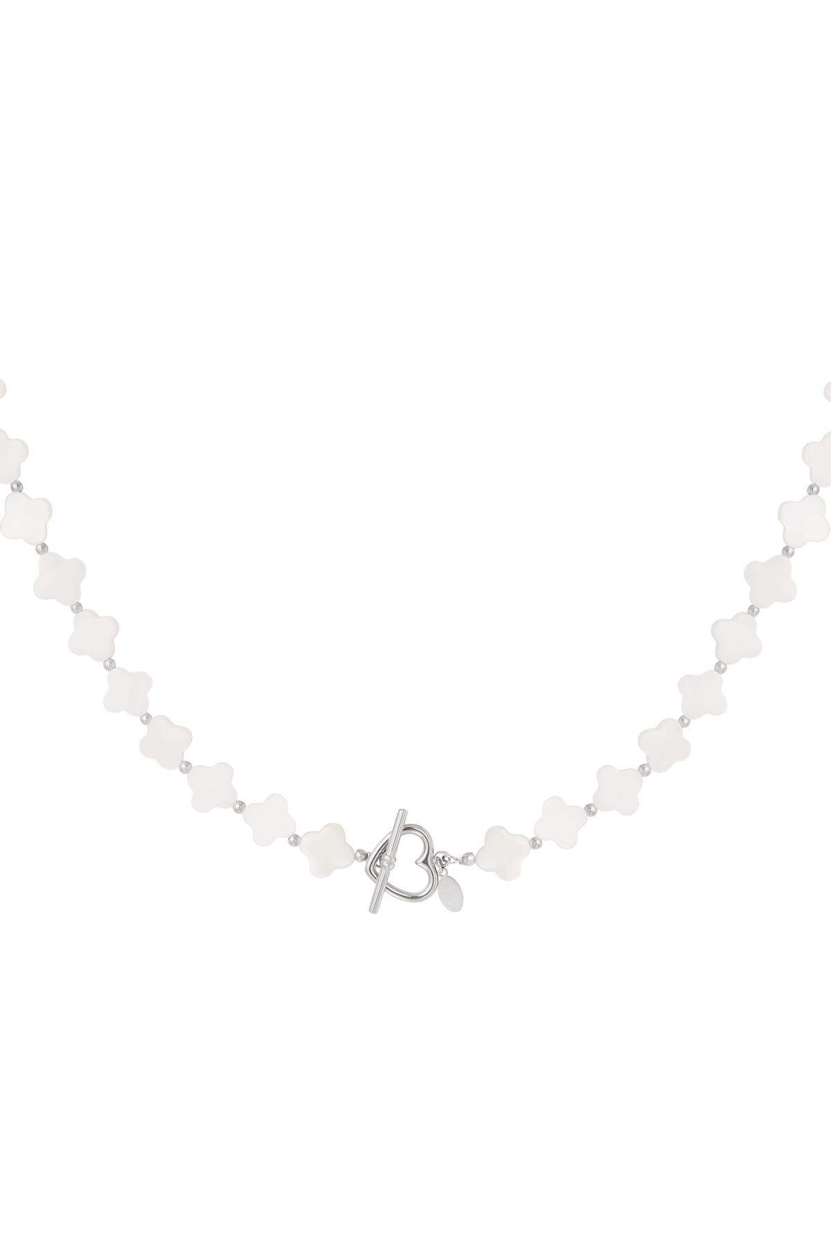 couleur argent Image2