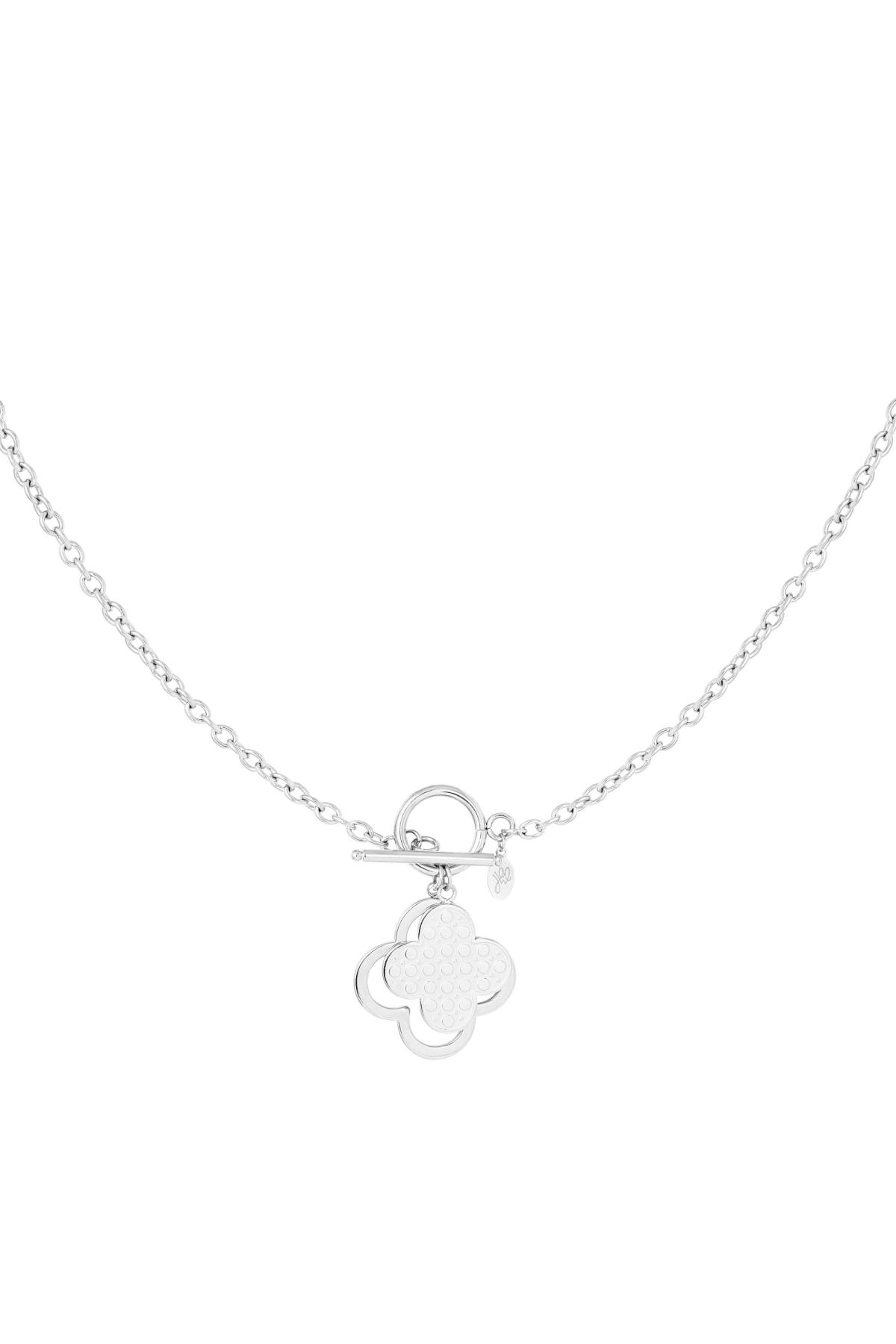 couleur argent 