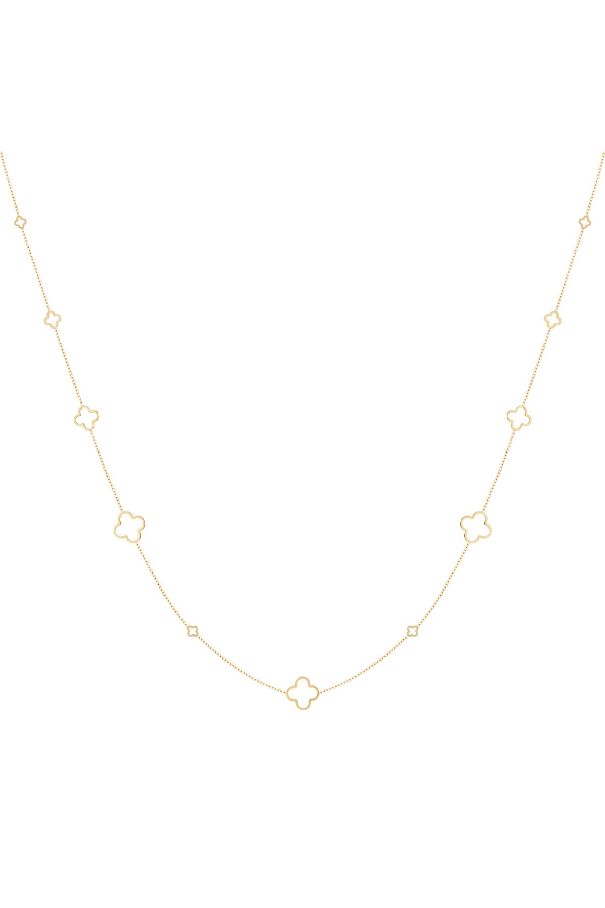Gold Color Picture2