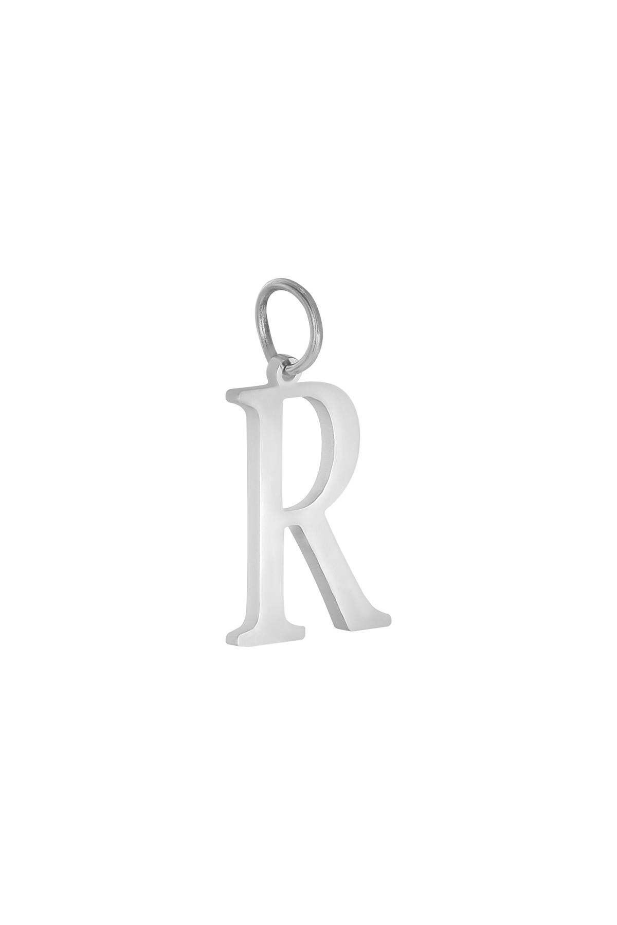 Silver Color Picture15