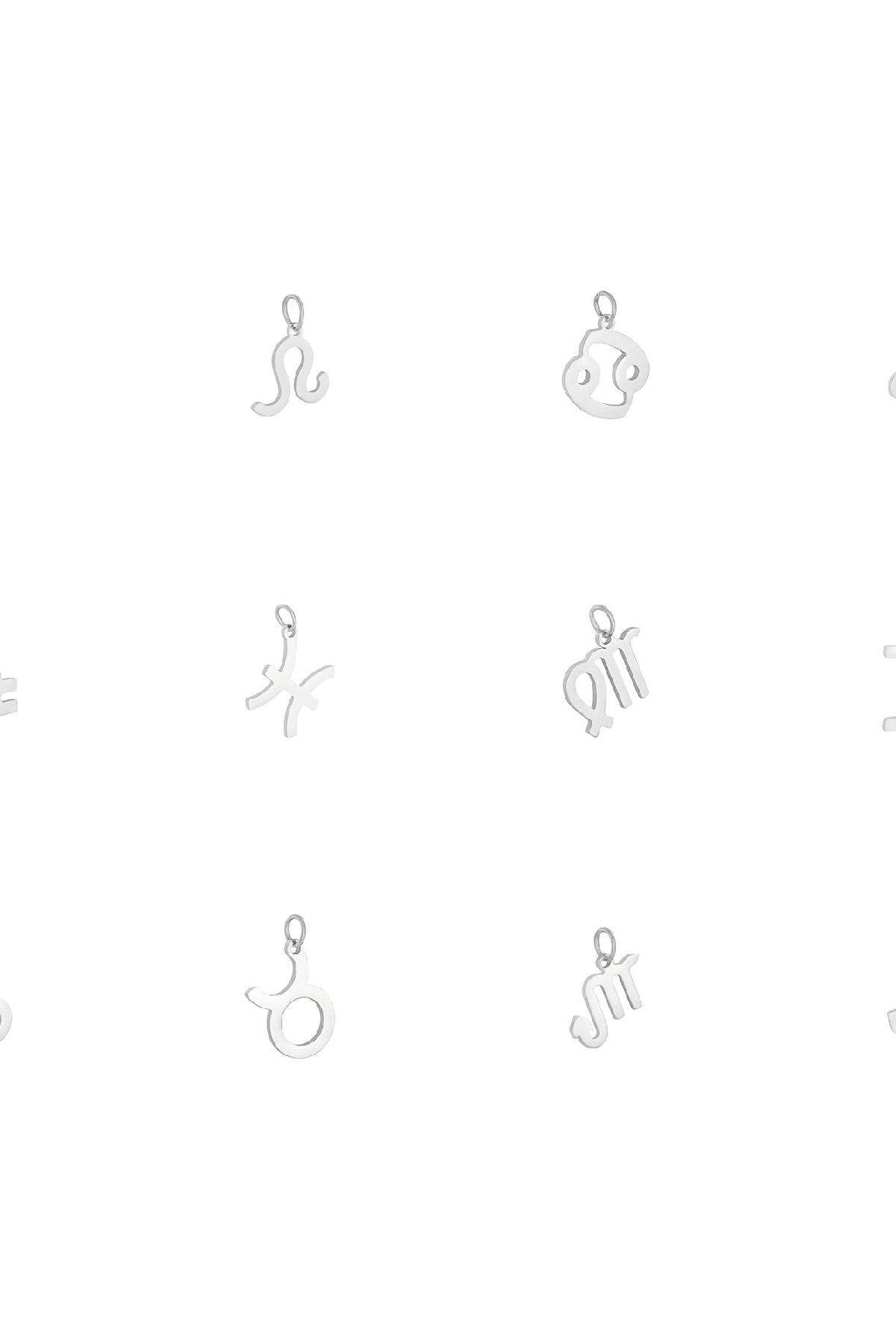 Charm Zodiac Taurus Zilver Stainless Steel h5 Afbeelding2