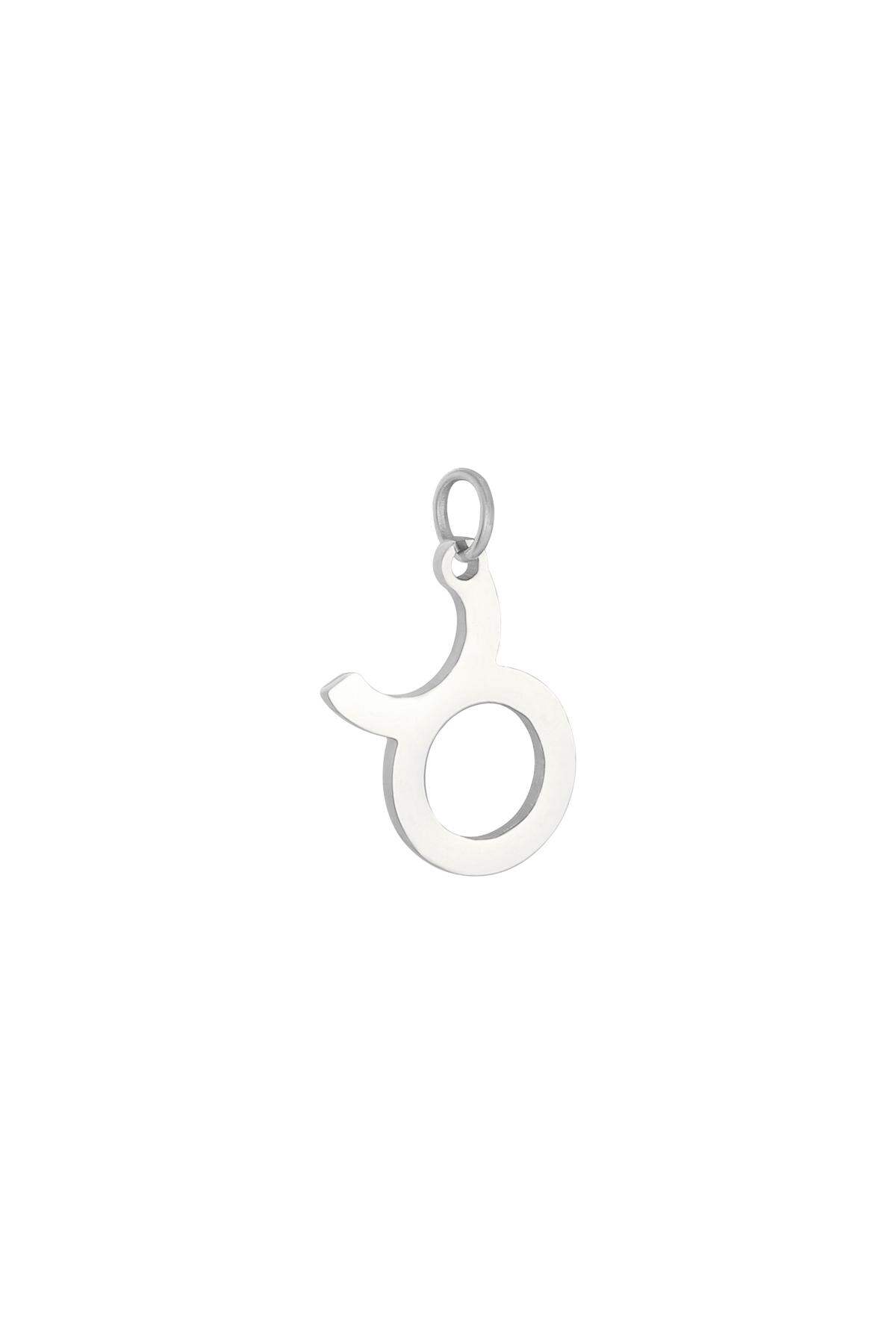 Charm Zodiac Taurus Zilver Stainless Steel 