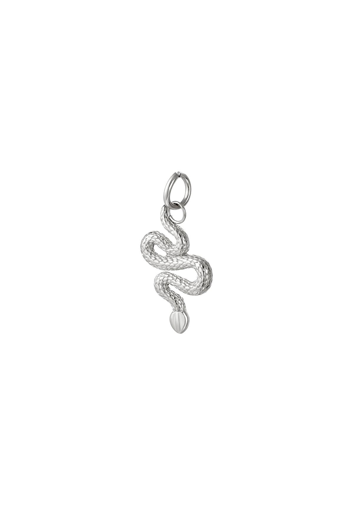 Groothandel Roestvrijstalen Slang Hanger voor Heren en Dames, Set van 1