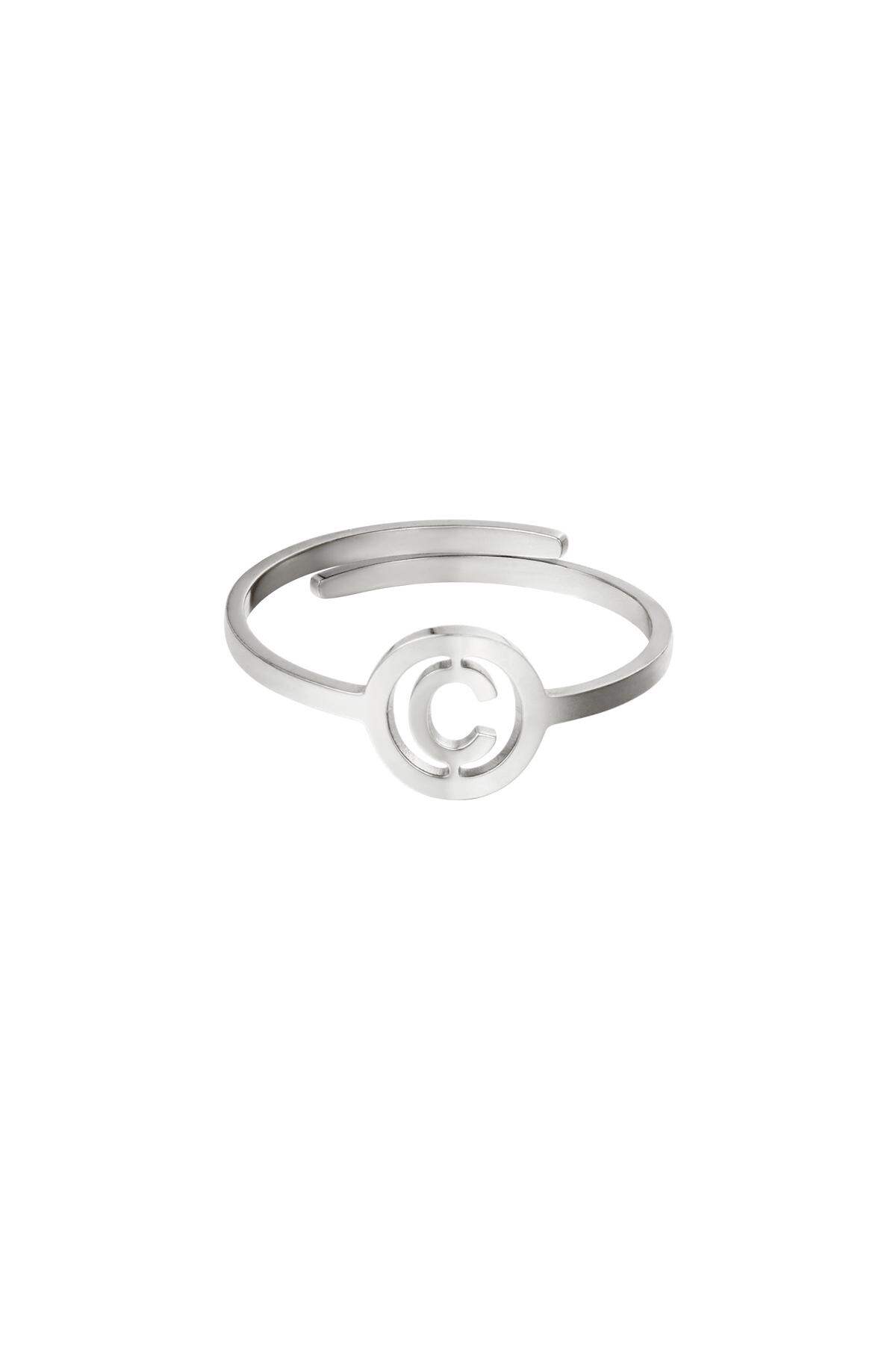 Silver Color Picture3
