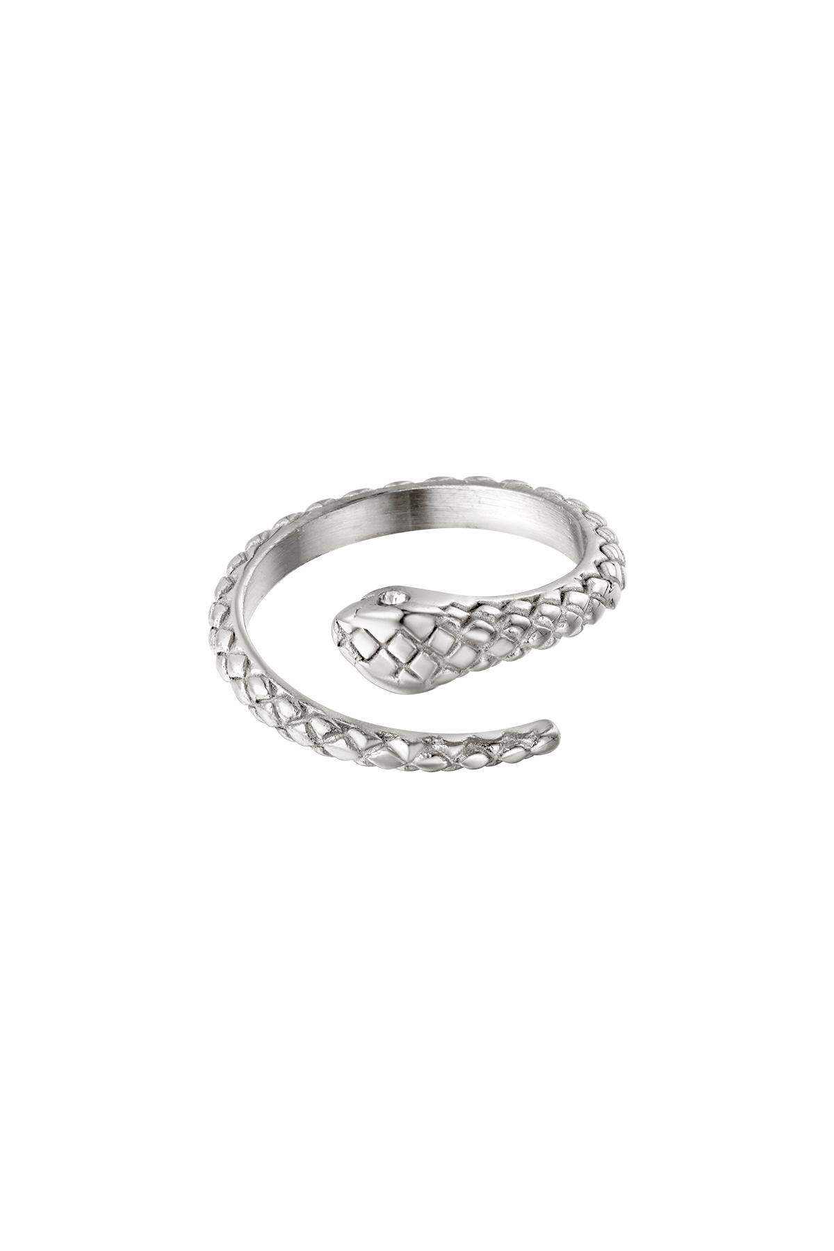 color plata/Talla única