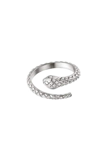 Roestvrijstalen Ringslang Met Zirkoonsteen Zilver Stainless Steel One Size