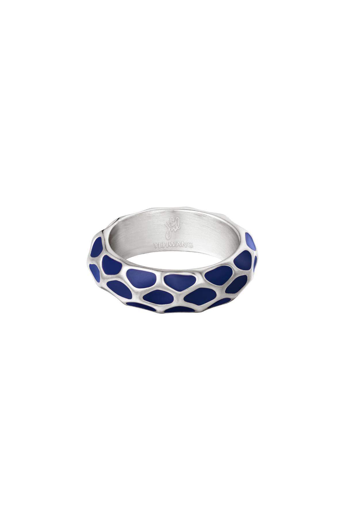 color plata/17 Imagen4