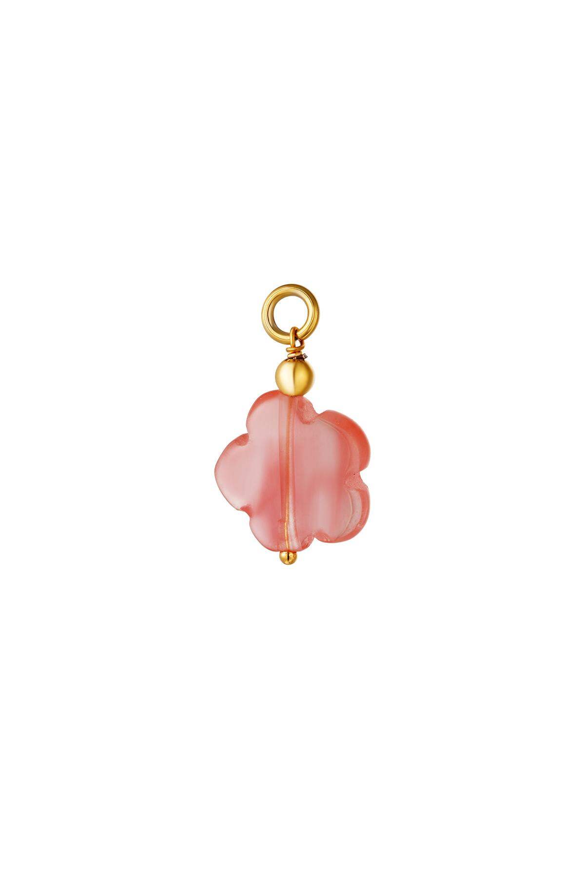 Rosa Imagen6