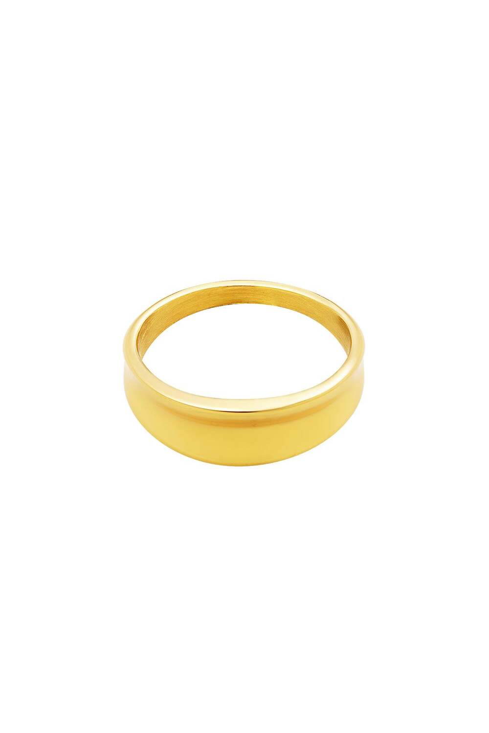 Roestvrij stalen ring Goud kleur Stainless Steel 15
