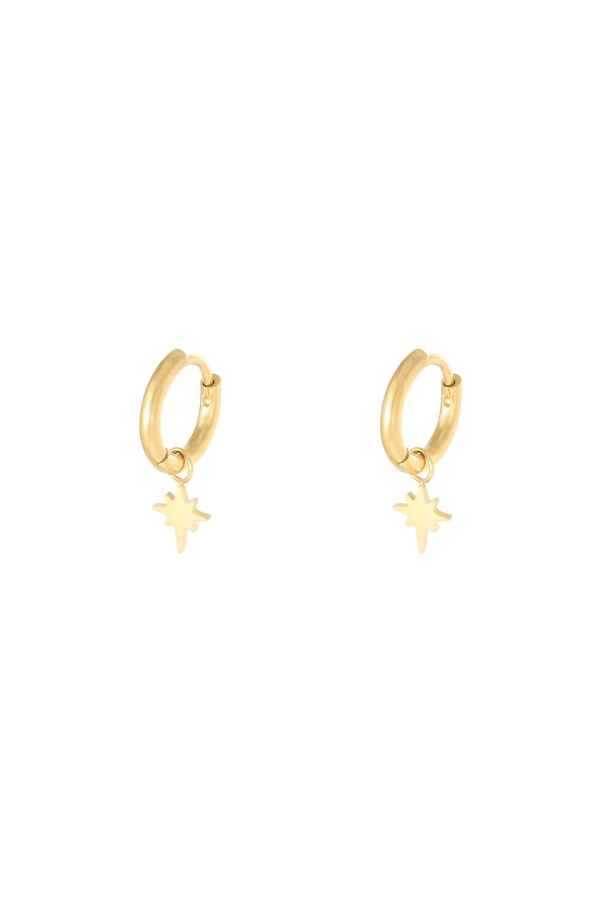 Orecchini Scintilla Gold Stainless Steel 