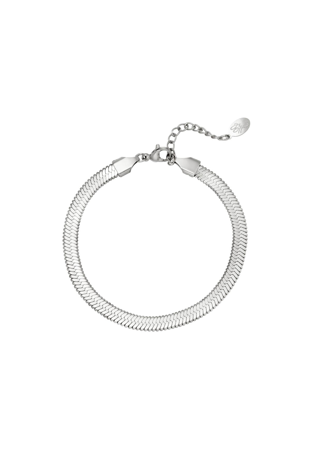 couleur argent Image2