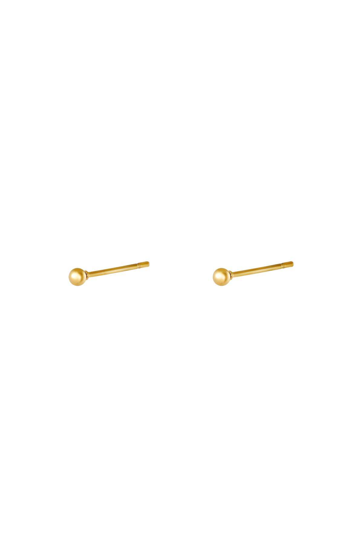 Orecchini Punto Minuscolo Gold Stainless Steel h5 