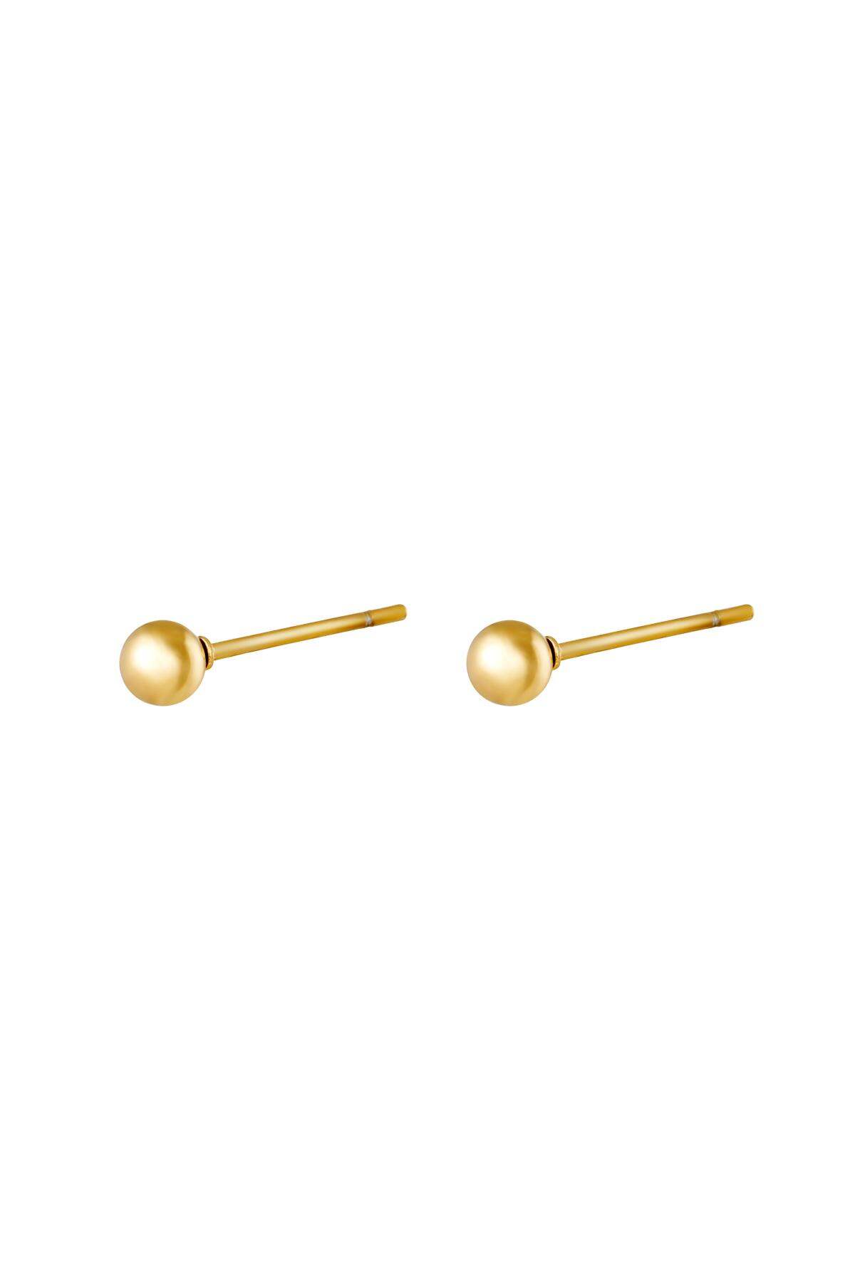 Big Dot Stainless Steel Earrings 2