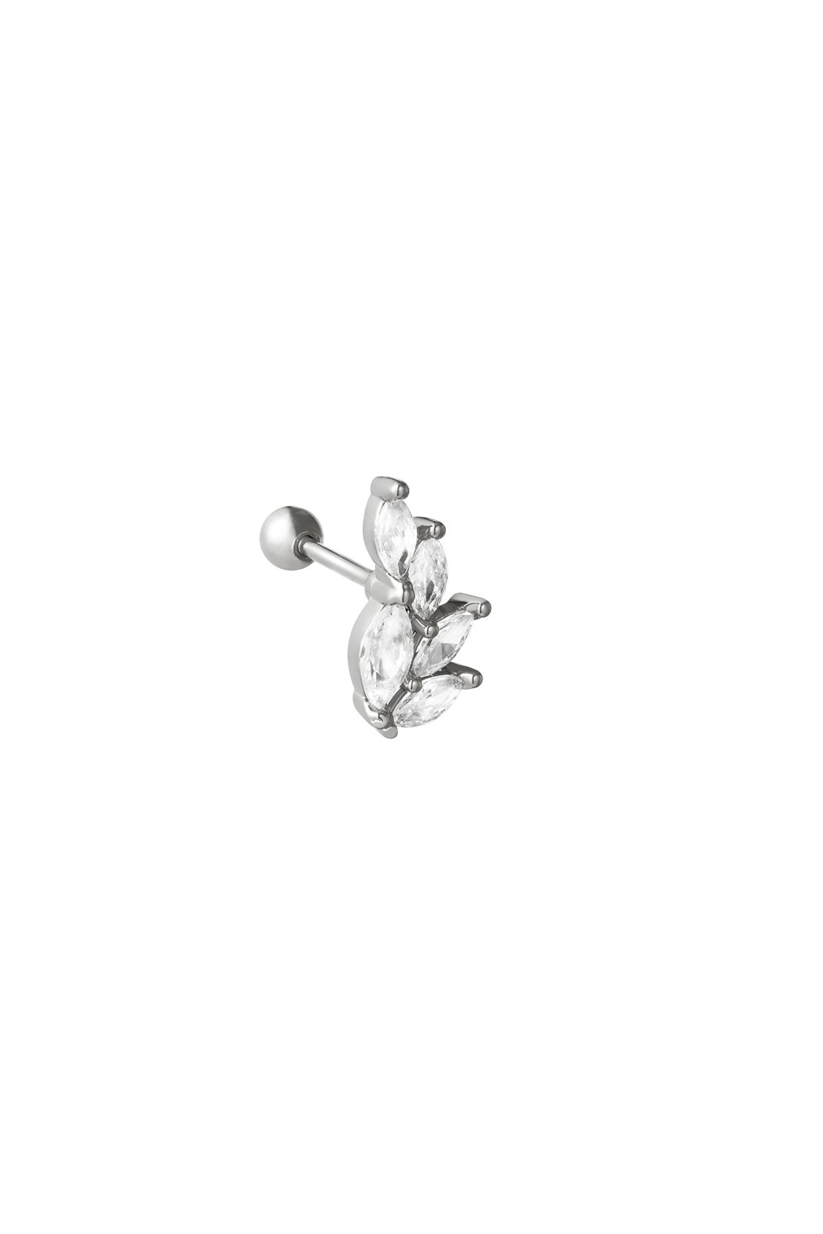 couleur argent Image2