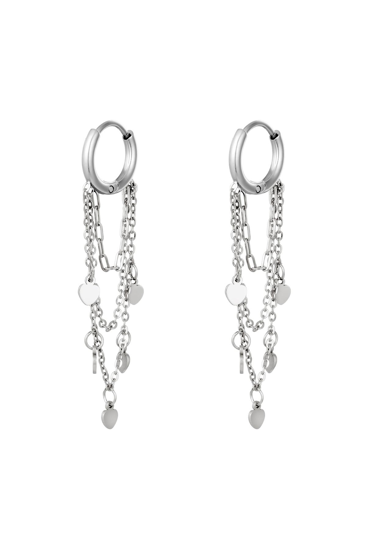 couleur argent Image2